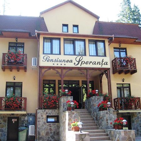 Отель Pensiunea Speranta Совата Экстерьер фото