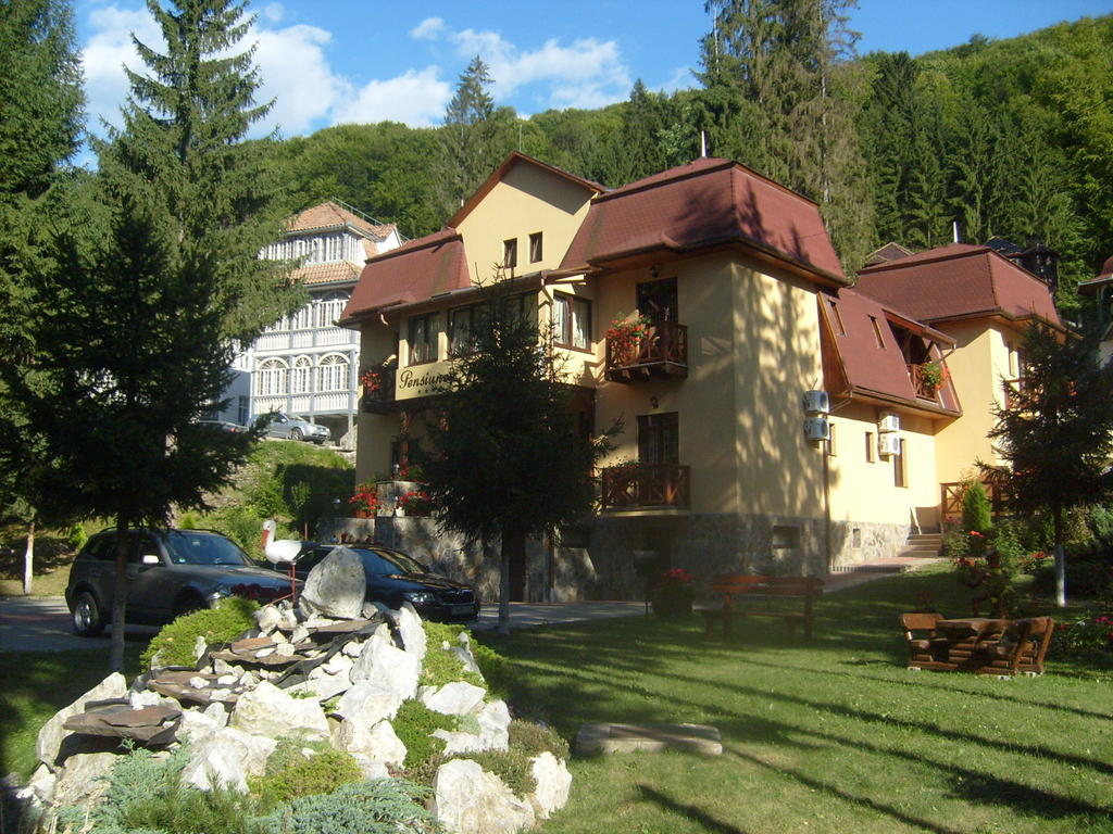 Отель Pensiunea Speranta Совата Экстерьер фото