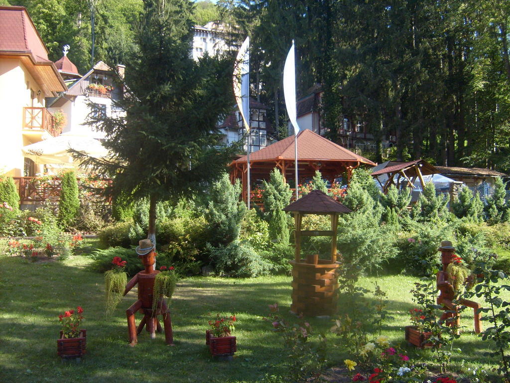 Отель Pensiunea Speranta Совата Экстерьер фото