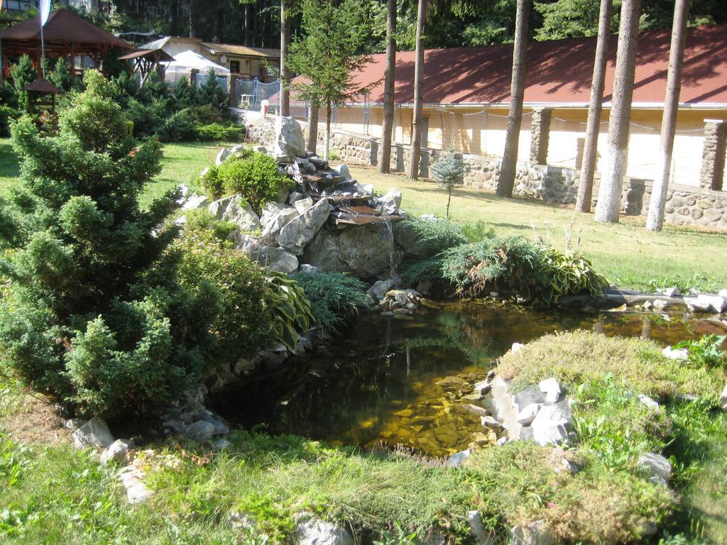 Отель Pensiunea Speranta Совата Экстерьер фото